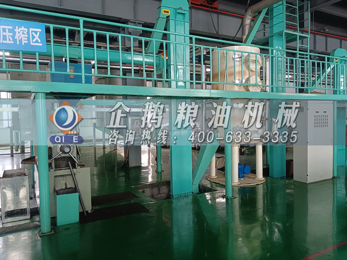 企鵝牌茶籽油雙螺桿榨油機，用心制造獲得客戶認可(圖2)